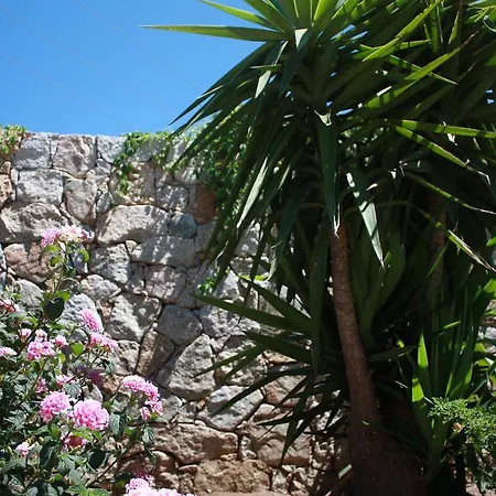 Et Benista Holiday park 3*