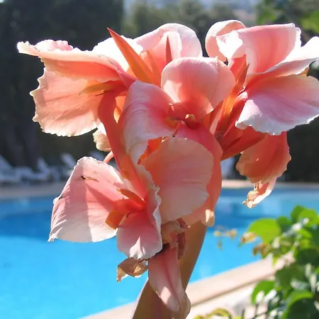 Holiday park Et Benista Monticello