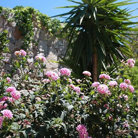 Holiday park Et Benista