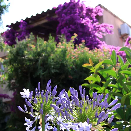 Et Benista Monticello