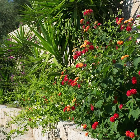 Et Benista منتزه العطل مونتايسلو