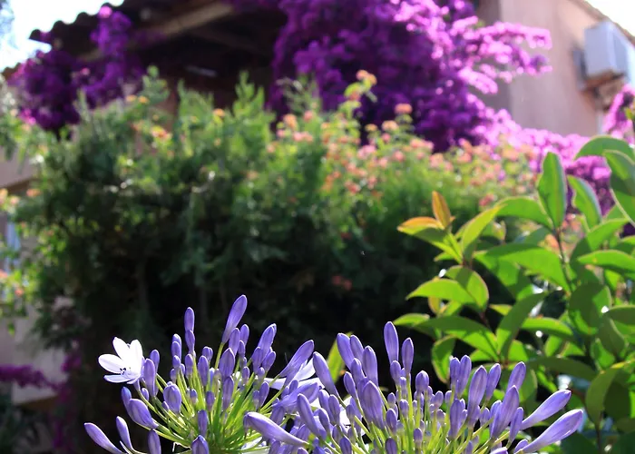 Et Benista Monticello