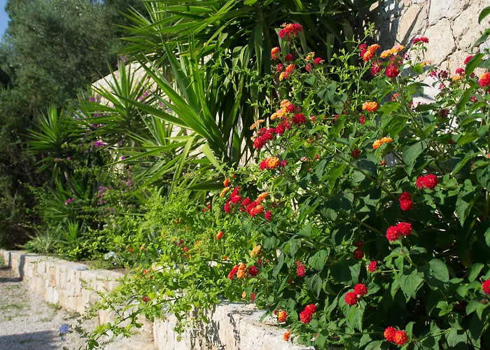 Et Benista Kompleks wypoczynkowy 3*