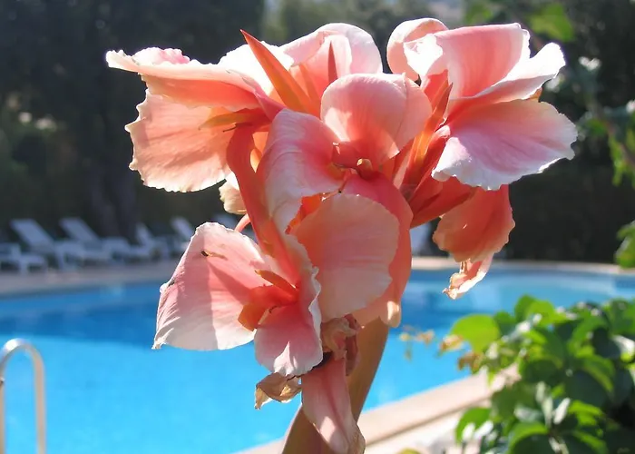 Kompleks wypoczynkowy Et Benista Monticello