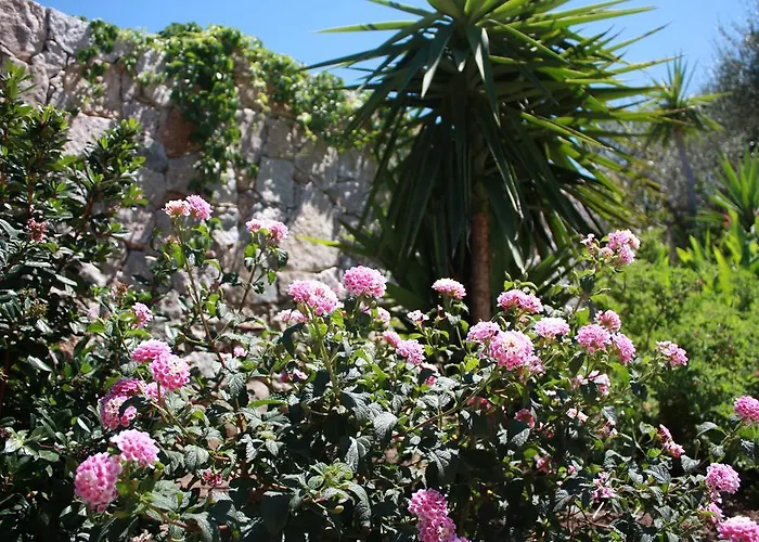 Parque de vacaciones Et Résidence Benista